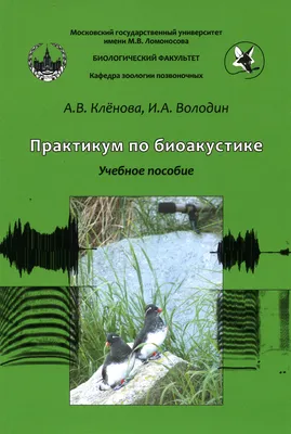 Океан чудес, море эмоций: 11 лет Воронежскому океанариуму - События и акции  - Воронежский океанариум