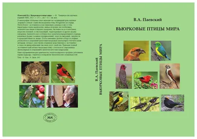 ХОЛМОГОРЫ. Заводчики и любители Центрального Черноземья. | Fermer.Ru -  Фермер.Ру - Главный фермерский портал - все о бизнесе в сельском хозяйстве.  Форум фермеров.