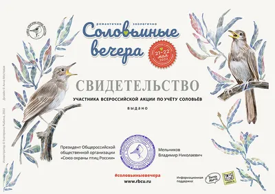 Экспресс-выпуск 2013 год