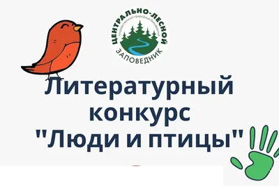 Перепись крылатого населения: кто и как ведет учет птиц в Тверской области  | 03.04.2023 | Тверь - БезФормата