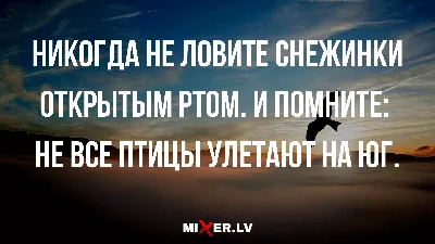 Почему птицы не улетают на юг и разносят ли голуби заразу? - Афиша Daily