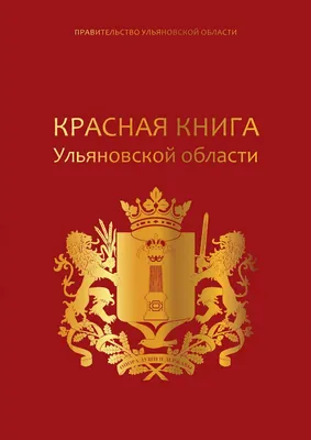 В Ульяновске в одном месте собрали десятки разных видов птиц | 13.06.2022 |  Ульяновск - БезФормата