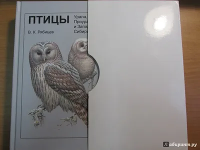 От нашего стола – вашему столу. Чем подкармливать птиц зимой? | Экология |  ОБЩЕСТВО | АиФ Урал