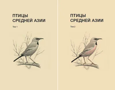 Зимняя перепись водоплавающих птиц в 2020 году: результаты в Узбекистане |  Экология: Фото, Туризм, Узбекистан