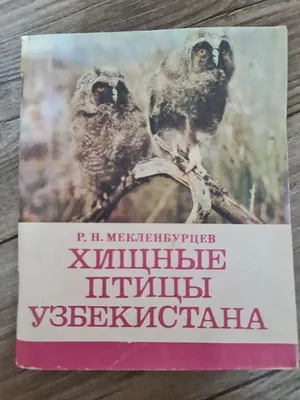 Дитя заката». Как фламинго гнездятся в Узбекистане | KLOOP.KG - Новости  Кыргызстана