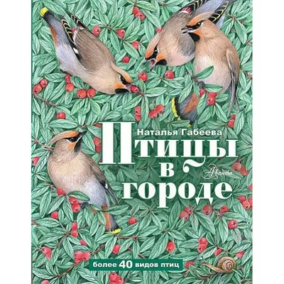 Птицы в городе Наталья Габеева - купить книгу Птицы в городе в Минске —  Издательство АСТ на OZ.by