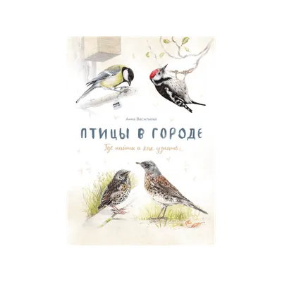 Птицы в городе. Габеева Н.М. - купить с доставкой по выгодным ценам в  интернет-магазине OZON (805724617)