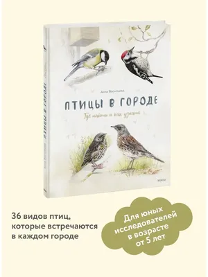 Иллюстрация 120 из 141 для Птицы в городе. Где найти и как узнать - Анна  Васильева |