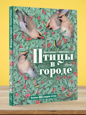 Птицы большого города. Пособие для бёрдвотчеров. | Евсеев Антон, Евсеев А.  - купить с доставкой по выгодным ценам в интернет-магазине OZON (342375024)