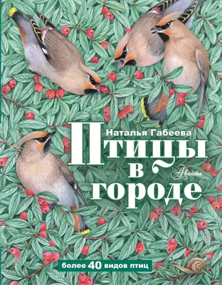 Мероприятия: Лекция в двух частях «Птицы в городе: орнитологи о Нижнем  Новгороде»