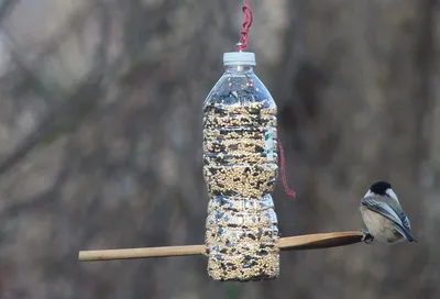 Кормушка для птиц Plastia Домик купить недорого в интернет-магазине товаров  для сада Бауцентр