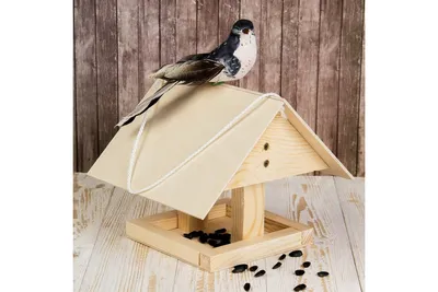 Кормушка. Необычные кормушки для птиц . кормушка для птиц. DIY bird feeders  в 2023 г | Кормушка для птиц, Домики для птиц, Птицы