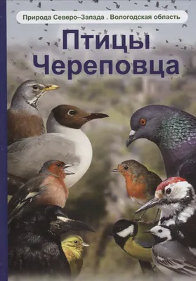 ПТИЦЫ, ВНЕСЁННЫЕ В КРАСНУЮ КНИГУ ПСКОВСКОЙ ОБЛАСТИ: ВОДЯНОЙ ПАСТУШОК RALLUS  AQUATICUS – тема научной статьи по биологическим наукам читайте бесплатно  текст научно-исследовательской работы в электронной библиотеке КиберЛенинка