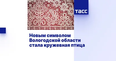 Распространение и численность орлана-белохвоста в Вологодском Поозерье и  юго-восточном Прионежье – тема научной статьи по биологическим наукам  читайте бесплатно текст научно-исследовательской работы в электронной  библиотеке КиберЛенинка