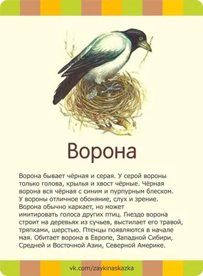 Зоография