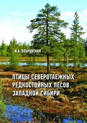 Эндемики России: какие птицы живут только в нашей стране? - Новости РГО