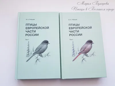 Зауральцев – любителей природы приглашаем принять участие во Всемирных днях  наблюдения за пернатыми