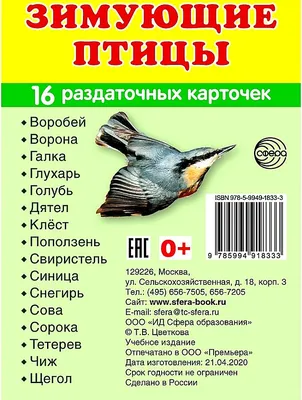 Утиная история: птицы могли остаться зимовать в Саратове из-за «розовой  зимы» - KP.RU