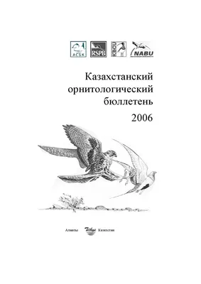 Костромской заповедник опубликовал подборку фотографий зимующих птиц:  любуемся | 18.01.2022 | Кострома - БезФормата