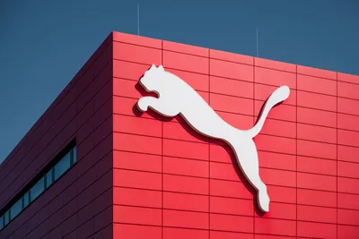 Puma to drop sponsorship of Israel's national soccer team next year,  decision 'unrelated' to BDS movement | Fox Business