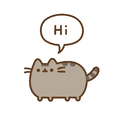 Пушин Кэт | Pusheen Cat Amino