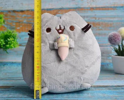 Pusheen : About