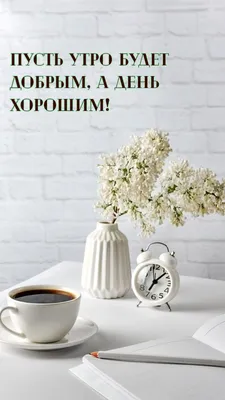 📎09▫🌻 Доброе утро! И пусть всё будет ХОРОШО у нас, у всех! | Доброе утро,  Смешные открытки, Мотивационные подарки