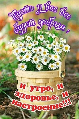 💐Доброе утро! ☀И пусть оно будет добрым-добрым!🐝 #утро #Чечерский_вестник  #утро_с_ЧВ | ВКонтакте