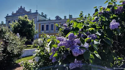 Тверь. Путевой дворец. Тверская областная картинная галерея | Михаил  Андросов | Дзен