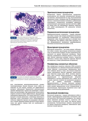 Вульгарная пузырчатка.... - Cеть ветеринарных клиник Ciavdar | Facebook