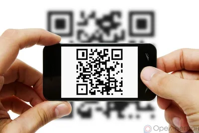 Почему никто не сканирует ваши QR-коды? - Пейджлут