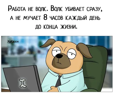 Работа не волк, в лес не убежит». У фразы, возможно, есть продолжение, и  оно меняет привычный смысл | Беречь речь | Дзен