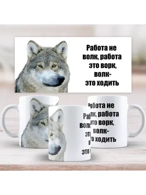 Работа не волк : r/Pikabu