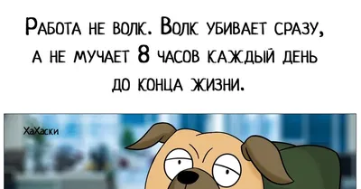 Кружка Работа не волк купить в интернет-магазине Другие Подарки по цене 323  ₽ в Москве