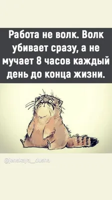 Как сказать на Упрощенный китайский (Китай)? \"работа не волк в лес не  убежит \" | HiNative