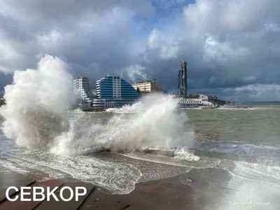 В Севастополе на линии «Артбухта - Радиогорка» будет работать только один  катер - Лента новостей Крыма