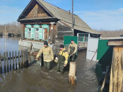 Из затопленного Радищево эвакуируют семьи с младенцами | Главные новости  Ульяновска