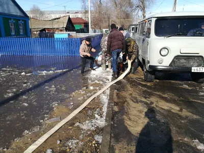 Долину диких пионов в Радищево включили в путеводитель по самым невероятным  цветочным пейзажам России Улпресса - все новости Ульяновска