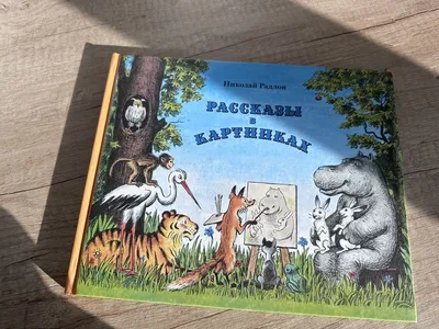 Russische Kinderbücher Детские книги Рассказы в картинках Радлов in  Niedersachsen - Melle | eBay Kleinanzeigen ist jetzt Kleinanzeigen