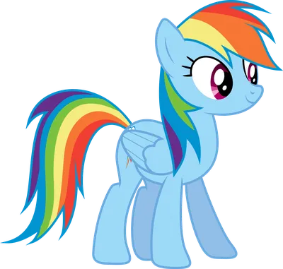 Rainbow Dash standing (S03E07) by DJDavid98 on DeviantArt