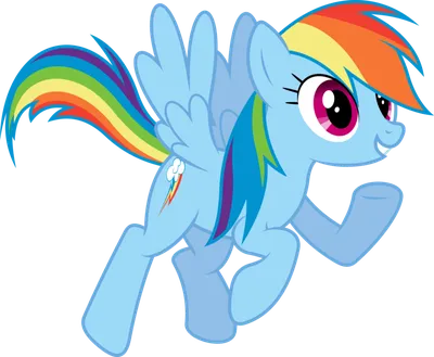 Купить постер (плакат) My Little Pony: Rainbow Dash (артикул 120002)