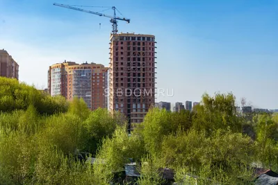 Офис, 171.9 м², купить за 6583770 руб, Новосибирск | Move.Ru