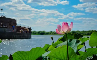 Номерные рамки купить в Москве | Рамка номерного знака автомобиля - цена