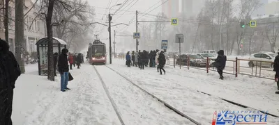 Оформление бровей краской или хной | Хабаровск