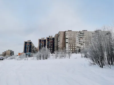 Ситуация в семье вышла за рамки закона в Мурманской области | 28.01.2024 |  Мурманск - БезФормата