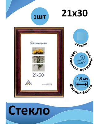 Пластиковая рамка 21х30 (бордовая) арт. 283-2130ST в интернет магазине  Ramki-ryazan.ru
