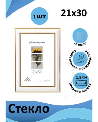Пластиковая рамка 21х30 (белый) арт. 3915-2130ST в интернет магазине  Ramki-ryazan.ru