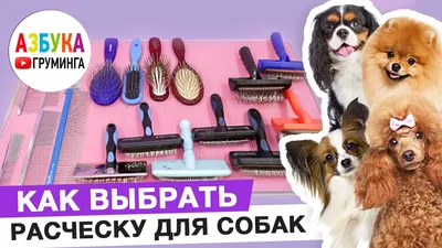 Ferplast GRO 5864 STEEL COMB Расческа для кошек и собак с зубьями из хрома  20,3 x 1,6 x h 6,4 cm ᐉ купить в Днепре, Киеве, Украине ≡ Цена, Отзывы ||  Сытая морда