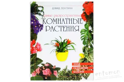 Самые распространенные комнатные растения / книги / издательство «Контэнт»