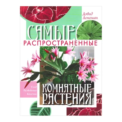 Самые популярные комнатные растения: ТОП-10 комнатных растений, которые у  вас есть или были | 🌿Школа садоводов ▷ Марии В. | Дзен